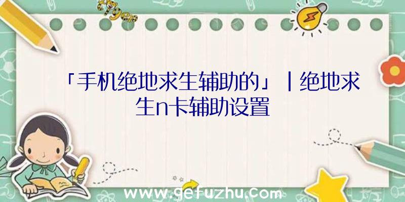 「手机绝地求生辅助的」|绝地求生n卡辅助设置